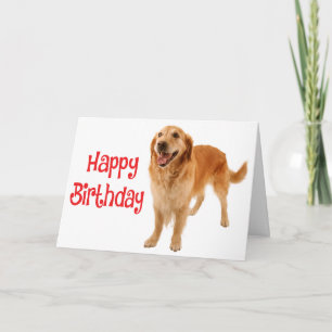 Grattis på födelsedagen Golden Retriever Puppy Hun Kort