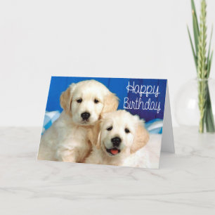 Grattis på födelsedagen Golden Retriever Puppy Hun Kort