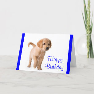 Grattis på födelsedagen Golden Retriever Puppy Hun Kort