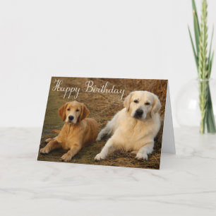 Grattis på födelsedagen Golden Retriever Puppy Hun Kort
