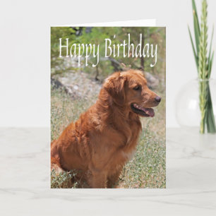 Grattis på födelsedagen Golden Retriever Puppy Hun Kort