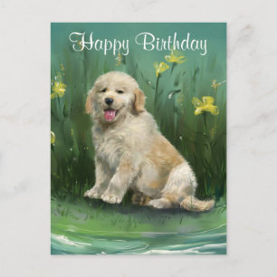 Grattis på födelsedagen Golden Retriever Valp Post Vykort