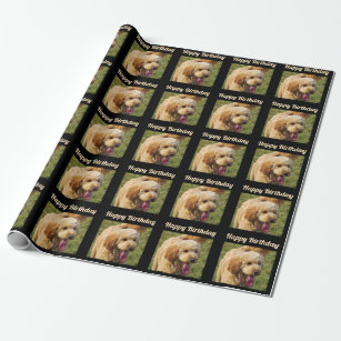 Grattis på födelsedagen Goldendoodle Hund Presentpapper