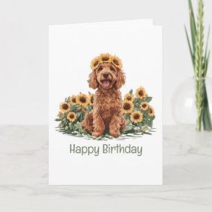 Grattis på födelsedagen Goldendoodle Hund Solros K Kort