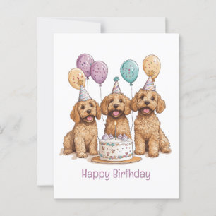 Grattis på födelsedagen Goldendoodle Hundar Födels Vykort