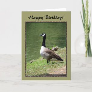 Grattis på födelsedagen Goose Kort