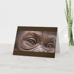 grattis på födelsedagen Gorilla Kort