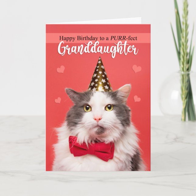 Grattis på födelsedagen Granddotters cute Cat in H Helgkort (Framsida)