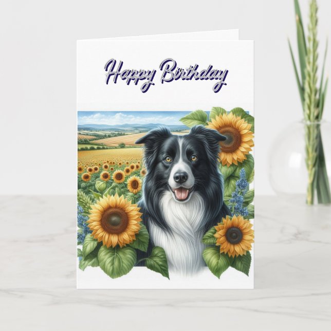 Grattis på födelsedagen Gräns Collie Kort (Framsida)