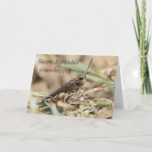 Grattis på födelsedagen Grashopper Greeting Card Kort