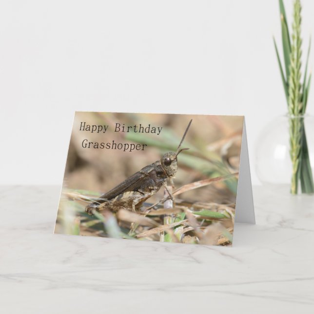 Grattis på födelsedagen Grashopper Greeting Card Kort (Framsida)