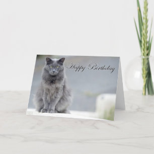 Grattis på födelsedagen Grått Cat Kort
