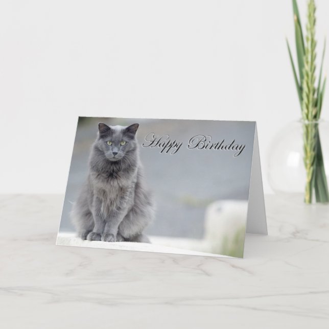 Grattis på födelsedagen Grått Cat Kort (Framsida)