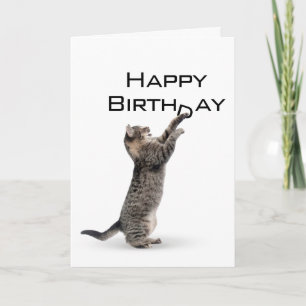 Grattis på födelsedagen Grått Tabby katt Kort