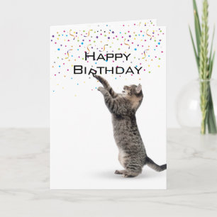 Grattis på födelsedagen Grått Tabby katt Kort