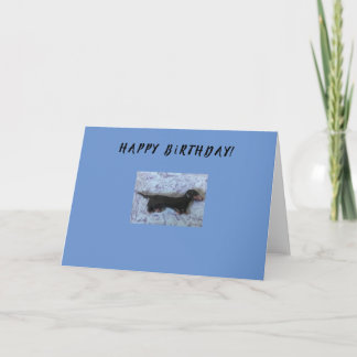 Grattis på födelsedagen gratulationskort kort