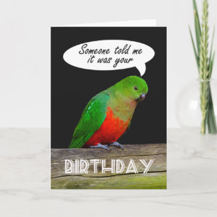 Grattis på födelsedagen grönt och röd Kung-papegoj Kort