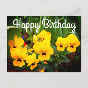 Grattis på födelsedagen Gul Pansy #1 vykort