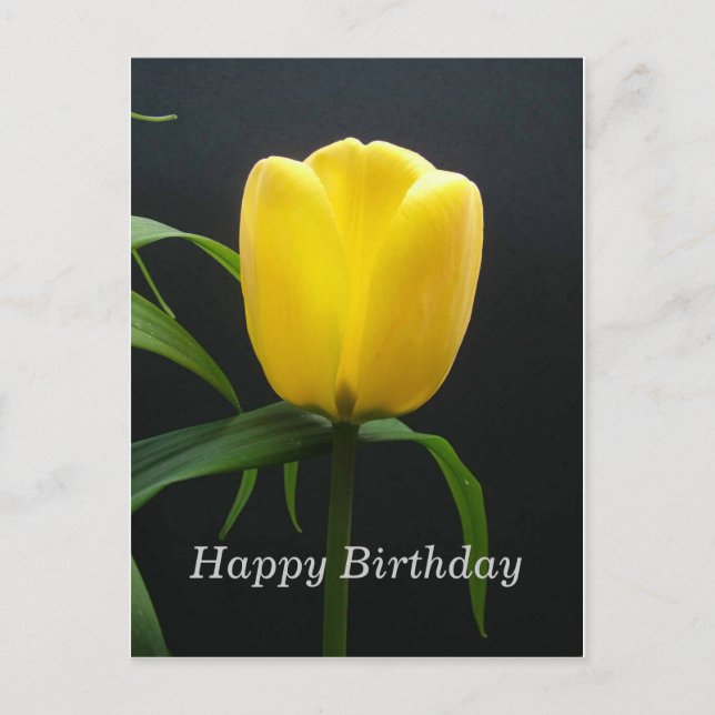 grattis på födelsedagen gul tulpan blomma vykort (Framsida)