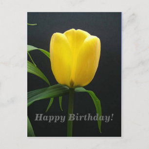 grattis på födelsedagen gul tulpan blomma vykort