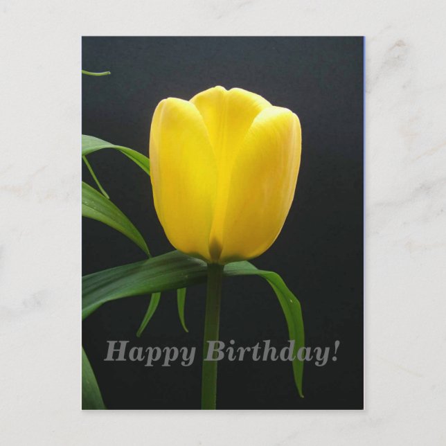 grattis på födelsedagen gul tulpan blomma vykort (Framsida)