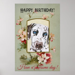 Grattis på födelsedagen Hälsning Dalmatien Poster