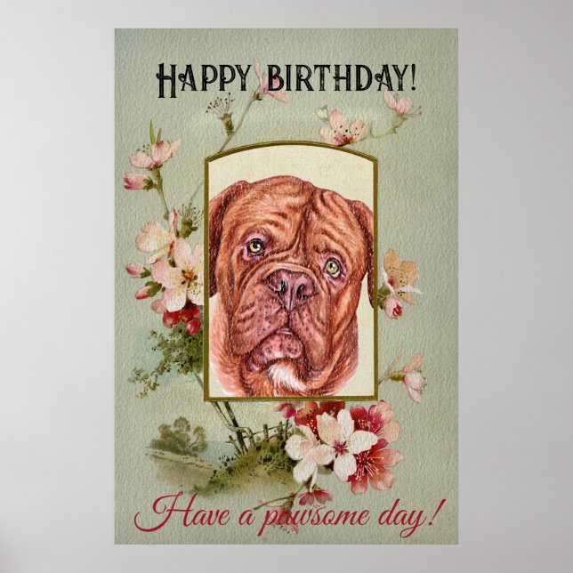 Grattis på födelsedagen Hälsning Fransk mastiff Poster (Framsidan)