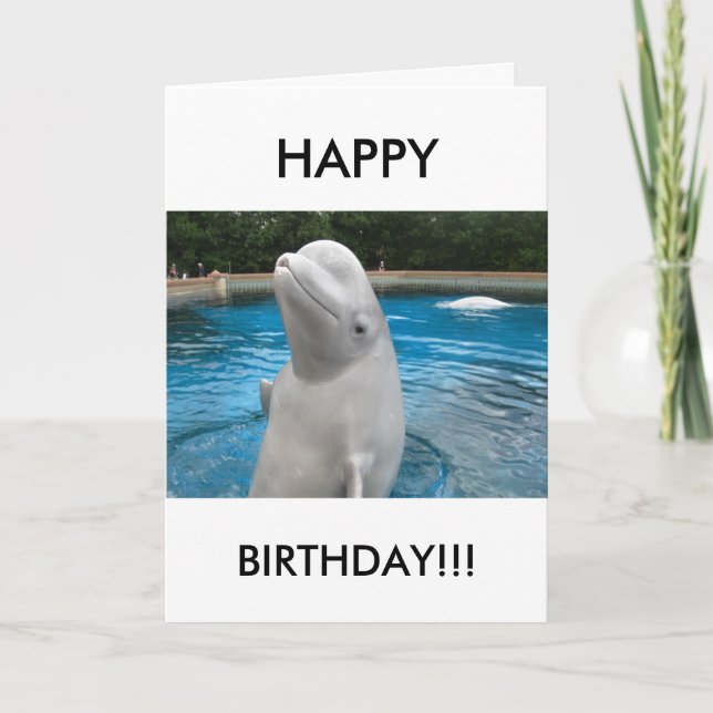 GRATTIS PÅ FÖDELSEDAGEN-hälsningskort med Beluga W Kort (Framsida)