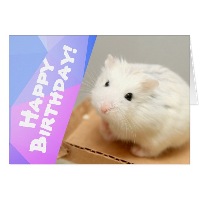 Grattis på födelsedagen - Hammyville White Hamster Hälsningskort (Framsidan Horizontal)
