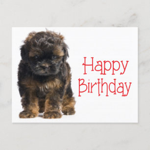 Grattis på födelsedagen Havanese Puppy Hund vykort