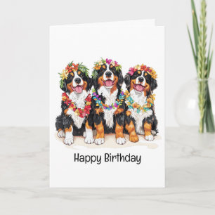 Grattis på födelsedagen Hawaiian Bernese Mountain Kort
