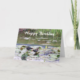 Grattis på födelsedagen Hawaiian Common Moorhen, L Kort