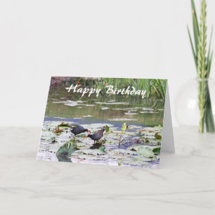 Grattis på födelsedagen Hawaiian Common Moorhen, L Kort