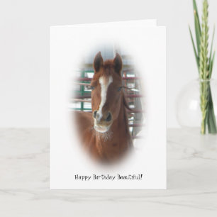 grattis på födelsedagen Horse Kort