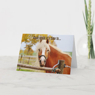 Grattis på födelsedagen Horse Kort