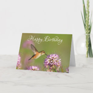 Grattis på födelsedagen Hummingbird och Wildlblomm Kort
