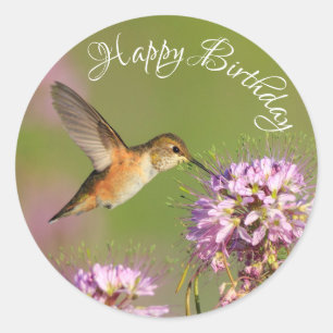 Grattis på födelsedagen Hummingbird Runt Klistermärke