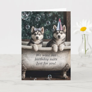 Grattis på födelsedagen Humous Huskies i Bath Tub Kort