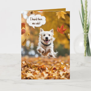 GRATTIS PÅ FÖDELSEDAGEN HUND i HÖST LÖV Kort