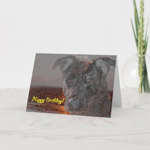 Grattis på födelsedagen Hund Kort