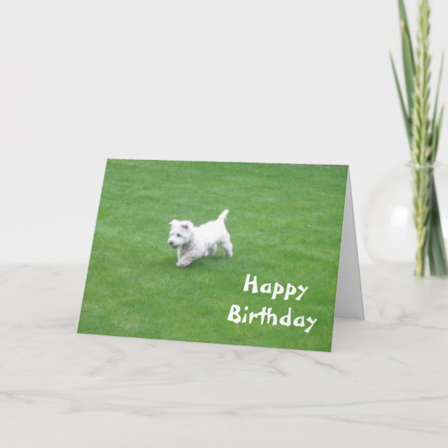grattis på födelsedagen hund-kort kort (Framsida)