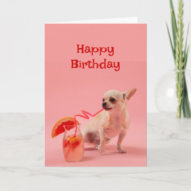 Grattis på födelsedagen Hund med Cocktail Drink Ce Kort (Framsida)
