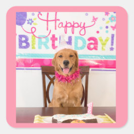 Grattis på födelsedagen Hund Party med min Dawg Fyrkantigt Klistermärke