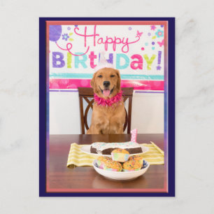 Grattis på födelsedagen Hund Party med min Dawg Inbjudan Vykort