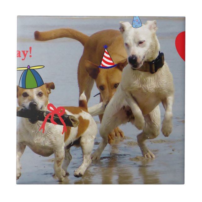 grattis på födelsedagen hundar kakelplatta (Framsidan)