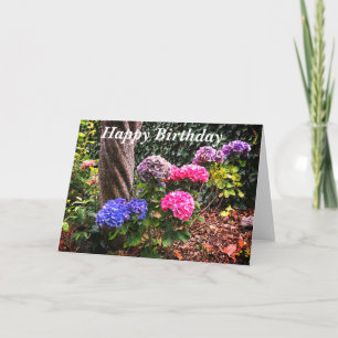 Grattis på födelsedagen Hydrangeas #1-kort Kort