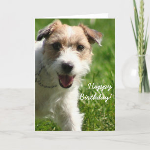 Grattis på födelsedagen Jack Russell Terrier-hälsn Kort