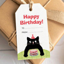 Grattis på födelsedagen katt, tårta och ballonger 