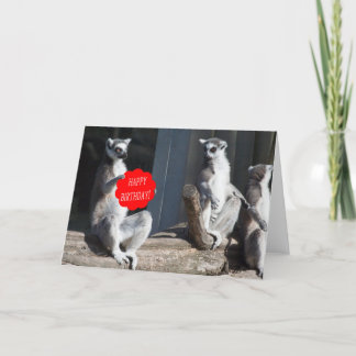 Grattis på födelsedagen Katta Kort