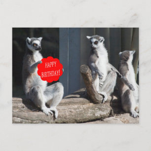 Grattis på födelsedagen Katta Vykort